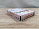 UF2250 Sylvanian Families Otogi no Kuni no Pendant BOXED GameBoy Game Boy Japan