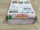 UF2250 Sylvanian Families Otogi no Kuni no Pendant BOXED GameBoy Game Boy Japan
