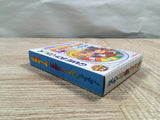 UF2251 The Game Of Life Jinsei Tomodachi Takusan BOXED GameBoy Game Boy Japan