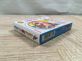UF2251 The Game Of Life Jinsei Tomodachi Takusan BOXED GameBoy Game Boy Japan