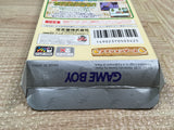 UF2253 Donkey Kong Land 3 Diddy Kong Dixie Kong BOXED GameBoy Game Boy Japan
