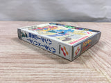 UF2256 Hunter x Hunter Hunter no Keifu BOXED GameBoy Game Boy Japan