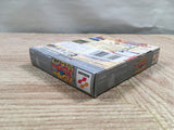 UF2256 Hunter x Hunter Hunter no Keifu BOXED GameBoy Game Boy Japan