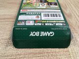 UF2257 Monster Tactics BOXED GameBoy Game Boy Japan