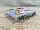 UF2262 Harvest Moon Bokujo Monogatari 3 GB BOXED GameBoy Game Boy Japan