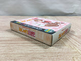 UF2264 Oshare Nikki BOXED GameBoy Game Boy Japan