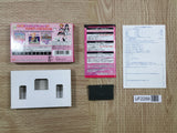 UF2288 Futari wa Pretty Cure BOXED GameBoy Advance Japan