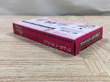 UF2288 Futari wa Pretty Cure BOXED GameBoy Advance Japan
