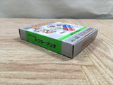 UF2384 Dr. Mario BOXED GameBoy Game Boy Japan