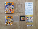 UF2389 OnePiece Maboroshi no Grand Line Boukenki! BOXED GameBoy Game Boy Japan