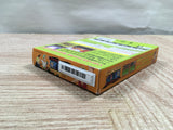 UF2389 OnePiece Maboroshi no Grand Line Boukenki! BOXED GameBoy Game Boy Japan