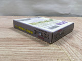 UF2390 Glocal HexCite The Shapes of Victory BOXED GameBoy Game Boy Japan
