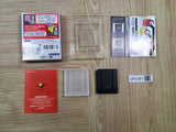 UF2391 Tetris DX BOXED GameBoy Game Boy Japan