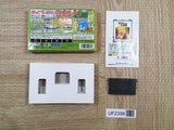 UF2398 Pinobee Adventure BOXED GameBoy Advance Japan