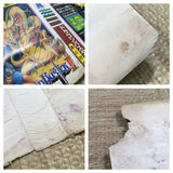 UF2453 Dragon Buster 2 BOXED NES Famicom Japan