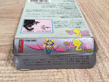 UF2511 Magical Taru Ruto BOXED GameBoy Game Boy Japan
