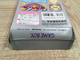 UF2518 Kirby Kirby's Pinball Land BOXED GameBoy Game Boy Japan