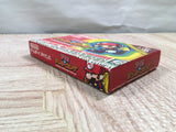 UF2528 Mario vs. Donkey Kong BOXED GameBoy Advance Japan