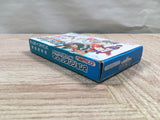 UF2536 Tales of the World Narikiri Dungeon 2 BOXED GameBoy Advance Japan