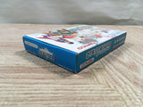 UF2536 Tales of the World Narikiri Dungeon 2 BOXED GameBoy Advance Japan