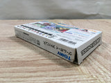 UF2538 Erementar Gerad Huuin Sarashi Kyou BOXED GameBoy Advance Japan