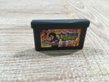 UF2540 One Piece Dragon Dream BOXED GameBoy Advance Japan