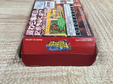 UF2540 One Piece Dragon Dream BOXED GameBoy Advance Japan