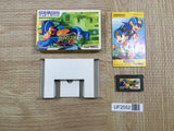 UF2552 Rockman Exe 2 Megaman BOXED GameBoy Advance Japan