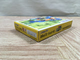 UF2553 Rockman Exe 2 Megaman BOXED GameBoy Advance Japan