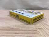 UF2553 Rockman Exe 2 Megaman BOXED GameBoy Advance Japan