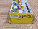 UF2553 Rockman Exe 2 Megaman BOXED GameBoy Advance Japan