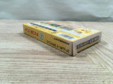 UF2575 Chocobo Land A Game Of Dice BOXED GameBoy Advance Japan