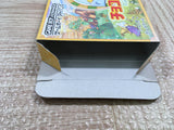 UF2575 Chocobo Land A Game Of Dice BOXED GameBoy Advance Japan