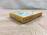 UF2576 Chocobo Land A Game Of Dice BOXED GameBoy Advance Japan