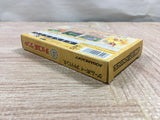UF2576 Chocobo Land A Game Of Dice BOXED GameBoy Advance Japan