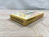 UF2576 Chocobo Land A Game Of Dice BOXED GameBoy Advance Japan