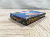 UF2577 Tetris Worlds BOXED GameBoy Advance Japan