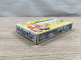 UF2579 Gakkou wo Tsukurou!! Advance BOXED GameBoy Advance Japan