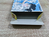 UF2579 Gakkou wo Tsukurou!! Advance BOXED GameBoy Advance Japan