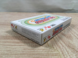 UF2580 Derby Stallion BOXED GameBoy Advance Japan