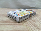 UF2581 Yushun Rhapsody BOXED GameBoy Advance Japan