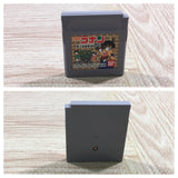 UF2785 Detective Conan Chika Yuuenchi Satsujin Jiken BOXED GameBoy Game Boy Japan