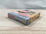 UF2785 Detective Conan Chika Yuuenchi Satsujin Jiken BOXED GameBoy Game Boy Japan