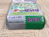 UF2791 Pokemon Green BOXED GameBoy Game Boy Japan