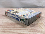 UF2804 Hunter x Hunter Hunter no Keifu BOXED GameBoy Game Boy Japan