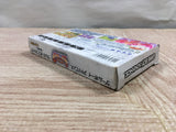 UF2822 Breath of Fire Ryuu no Senshi BOXED GameBoy Advance Japan