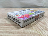 UF2822 Breath of Fire Ryuu no Senshi BOXED GameBoy Advance Japan