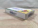 UF2848 Final Fantasy 5 V BOXED SNES Super Famicom Japan