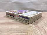 UF2886 Super Smash Bros. Dairanto Smash Brothers BOXED N64 Nintendo 64 Japan