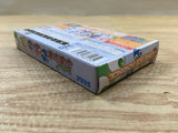 UF2924 Minnade Puyo Puyo BOXED GameBoy Advance Japan